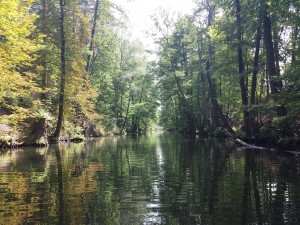 Den Sommer genießen…
